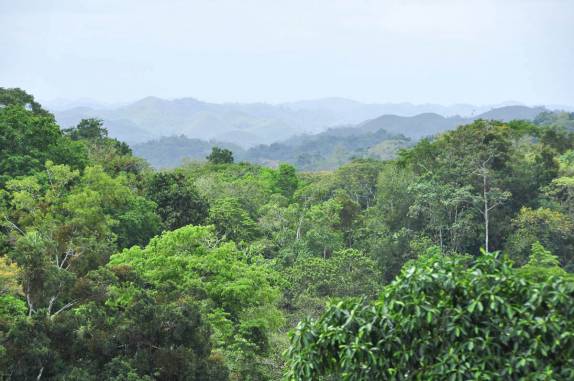 A mata densa que cerca as ruínas mayas de Caracol, em Belize, quase na fronteira com a Guatemala
